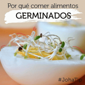 beneficios alimentos germinados